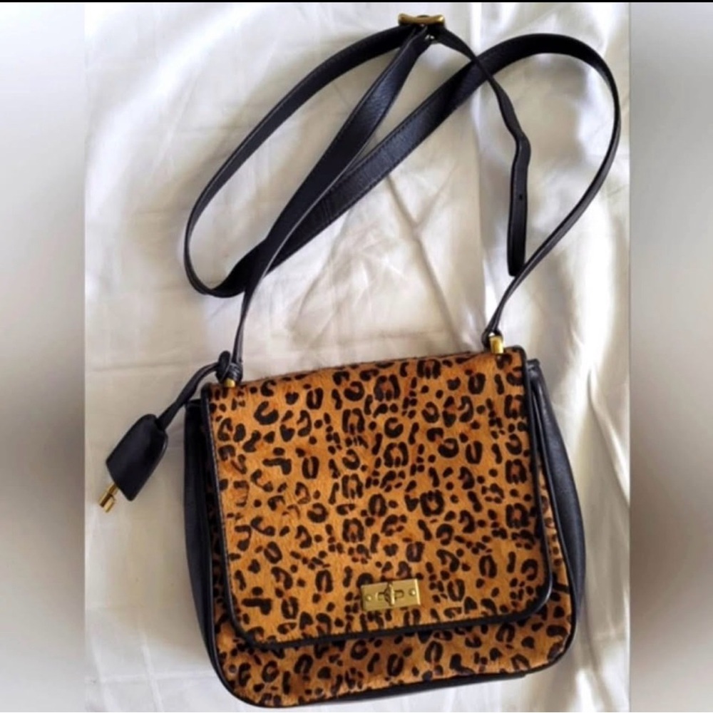 Fossil Memoir Purse